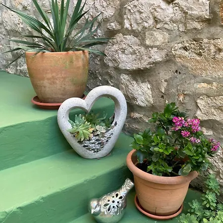 Lavandis 아파트 *