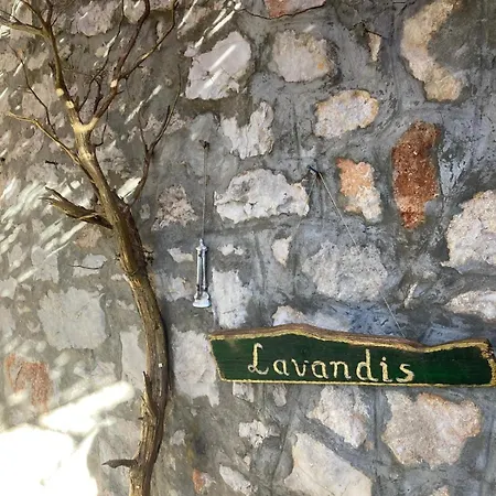 Lavandis